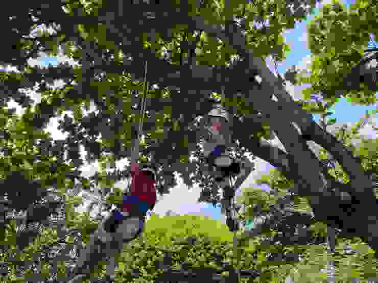 看到學員成功爬上樹，我也很有成就感
