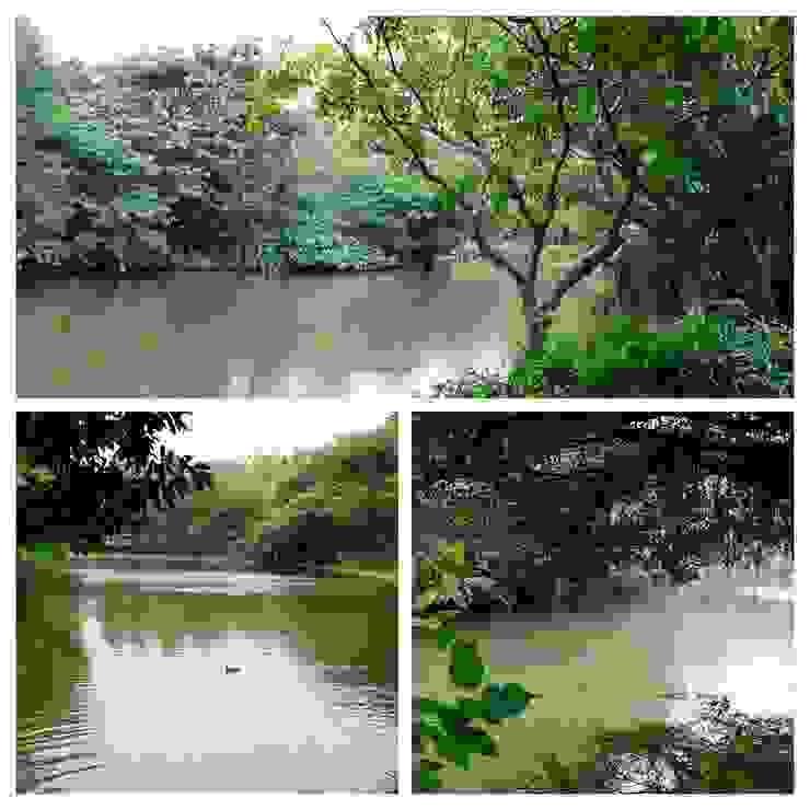 生態池如亞馬遜河原始雨林