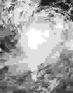 莫拉克最強時的衛星圖像