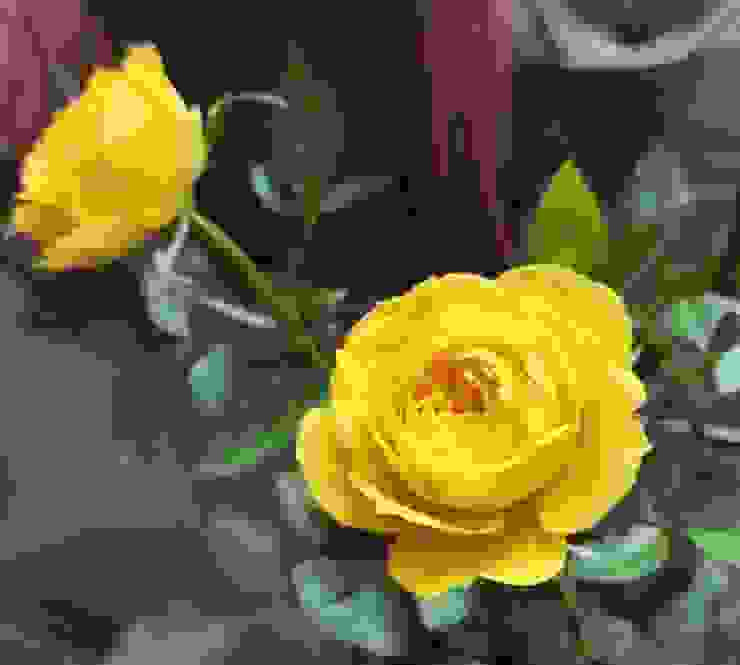 黃玫瑰：純潔的友誼、美好的祝福 / 照片版權所有，未經授權請勿盜圖