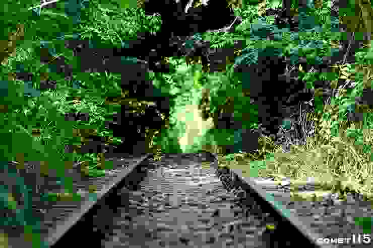 大安溪橋往泰安車站的路線已成為一片森林