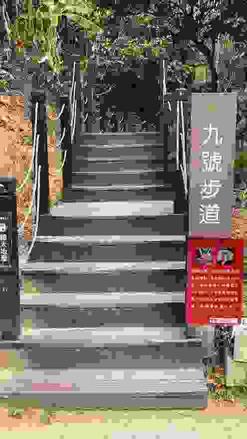 大坑九號登山步道 階梯