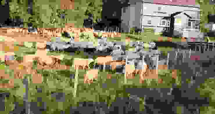 羊群先由放牧區趕至出口，再趕上馬路，由所拍攝的影片擷取，解析度不佳。