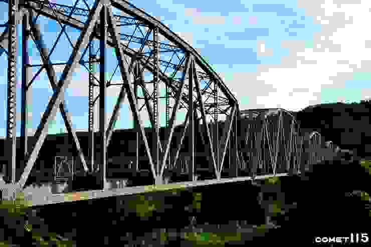 初代鋼桁架採用美國製品，戰後大安溪橋則配合臺鐵政策在1960年代抽換鋼梁，現今的鋼桁架已非縱貫線通車時原物。