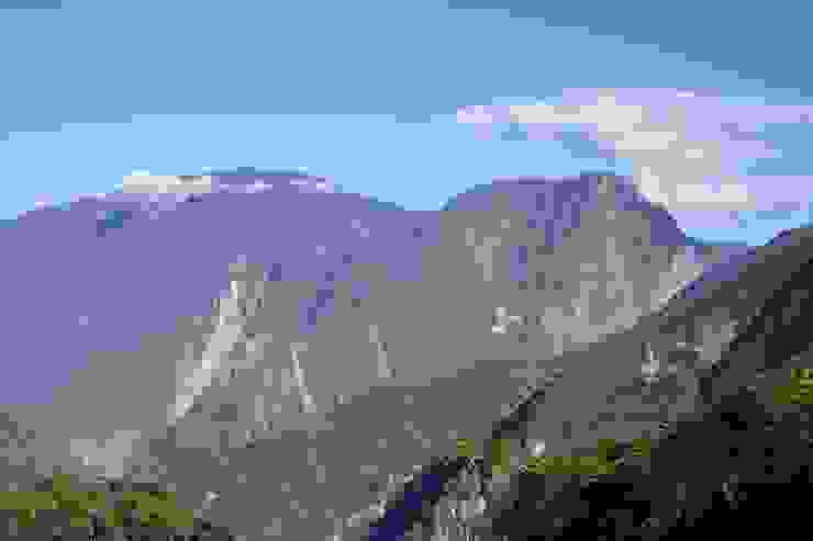 左側為大安山，右側為向山，橫過向山的淡色直線為西林林道。向山背面的稜線延伸，即為大安山事業地作業範圍