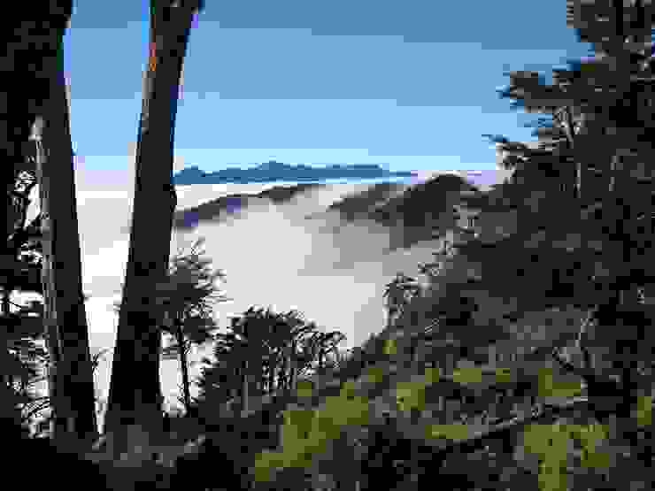 往佐美姬山前進的半途，欣賞遠處的雲瀑與背景的卑南群峰。（Photo by. HASSELBLAD X2D + XCD 55/2,5V）
