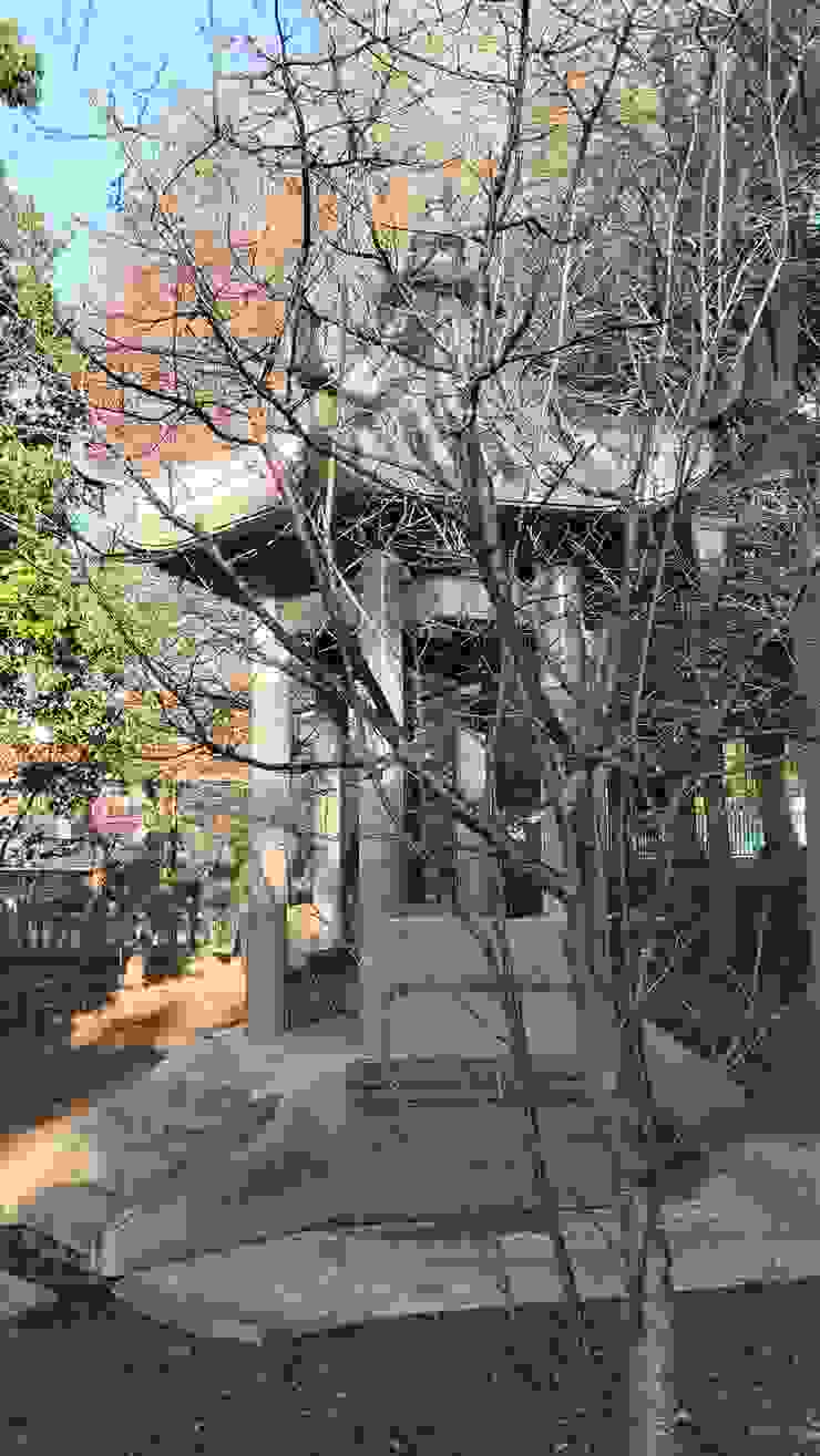 涼亭旁的櫻花樹，尚是光禿禿的，但盛開的時候是一個美景的角度。