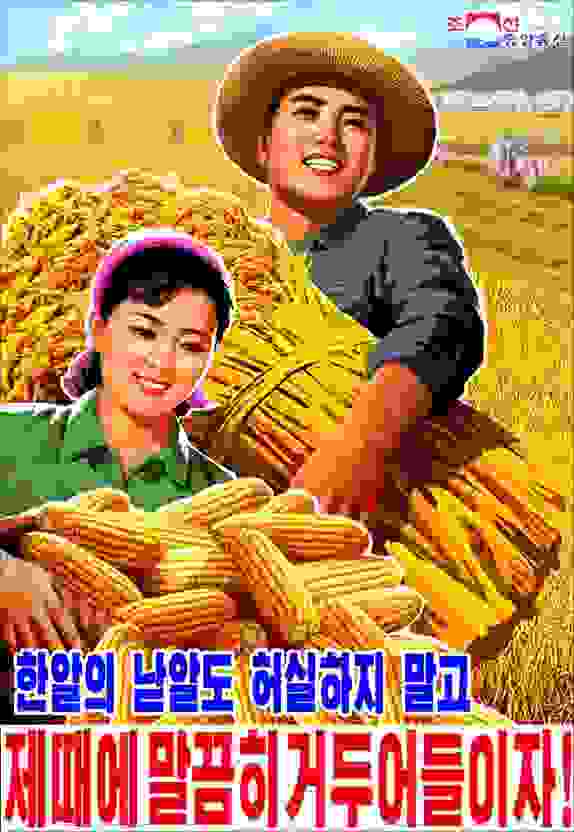 今年北韓農業豐收的宣傳圖片（朝鮮勞動黨）