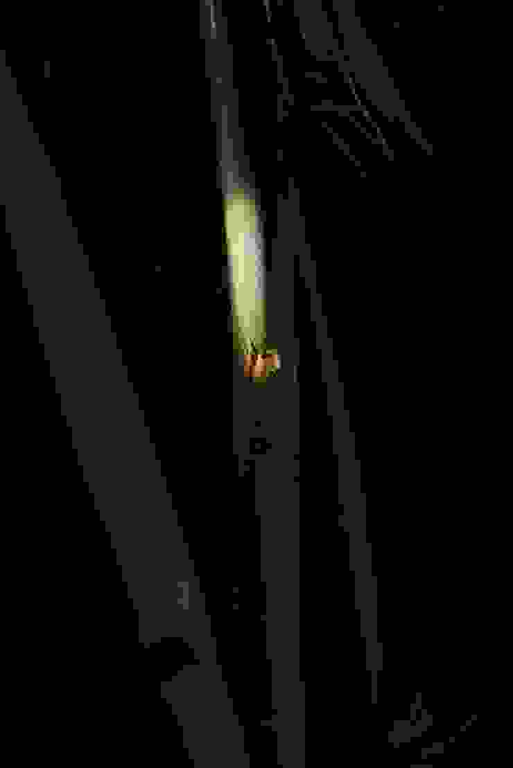 《除蛙記》劇照/新北市紀錄片獎