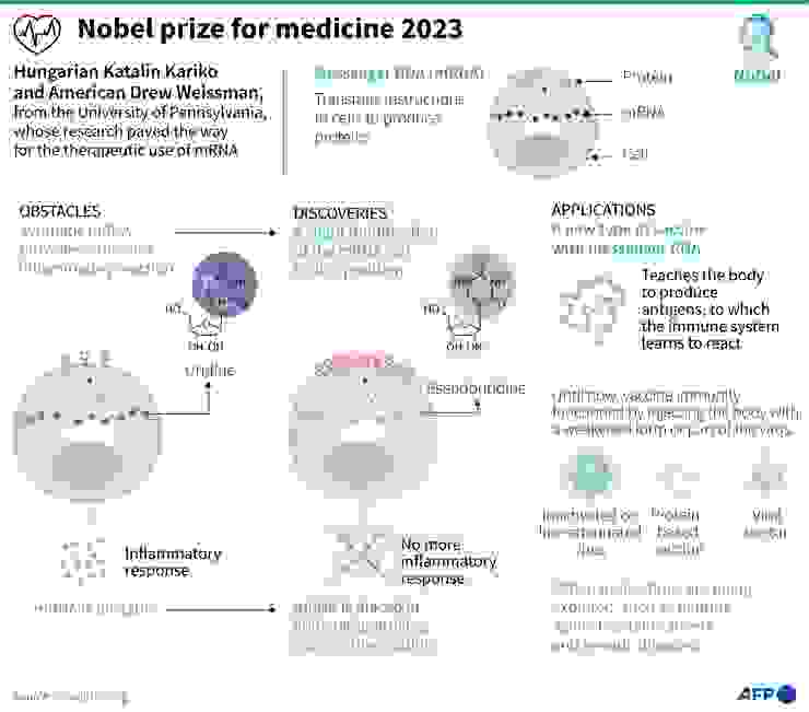 Nobel Prize For Medicine 2023