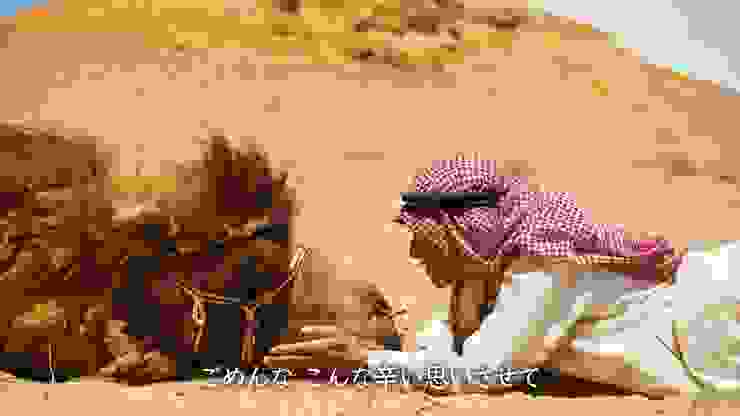 乃木對駱駝的體貼也展現了他的溫柔