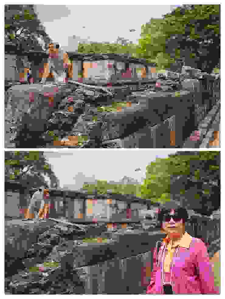 哈塔達格周圍傾頹的石牆和斯里蘭卡獼猴
