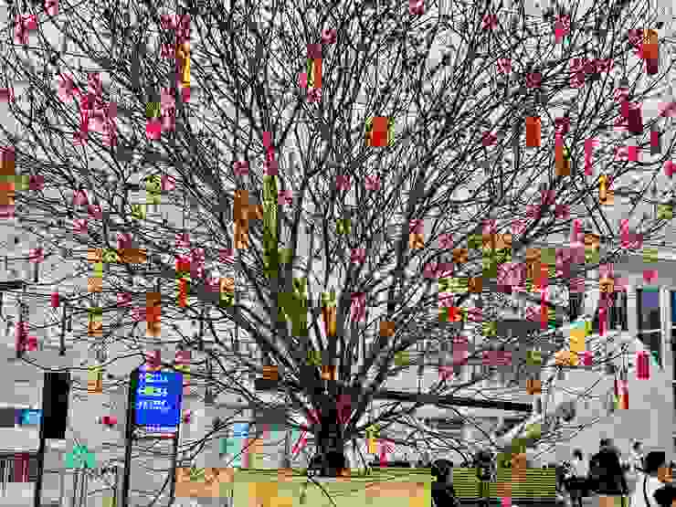 中轉香港機場的新年桃樹