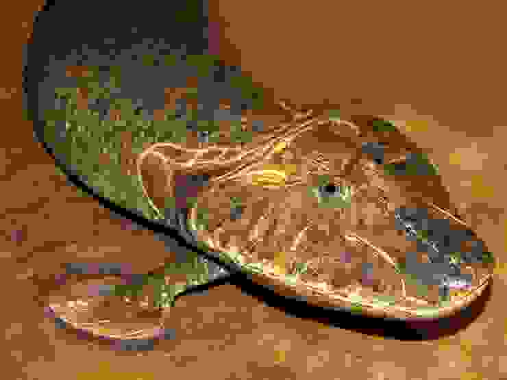提塔利克魚的模擬圖