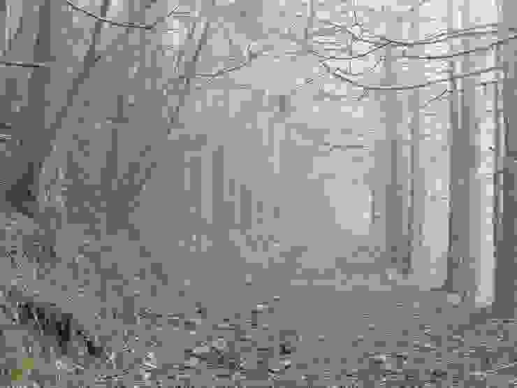 霧中的石山林道。