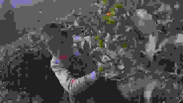 《那山那狗那女孩》電影劇照/金馬影展