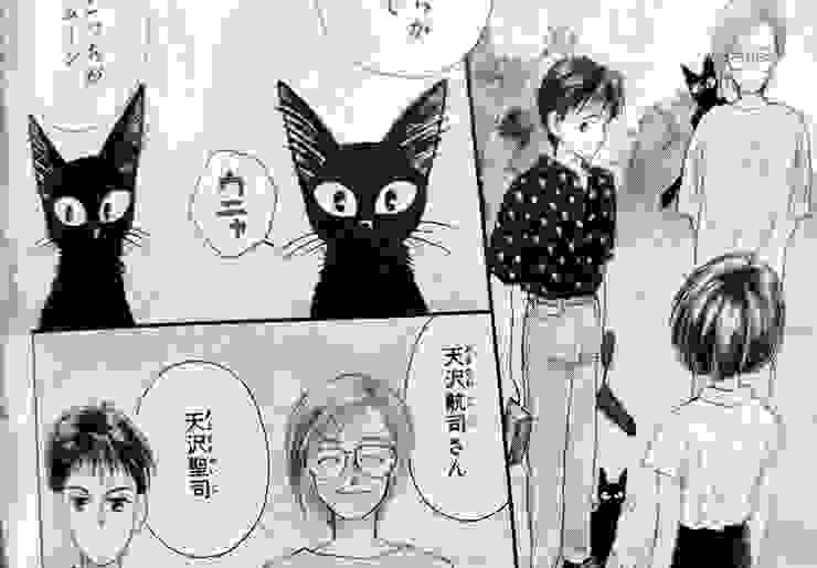 原作漫畫裡天澤兩兄弟飼養了兩隻黑貓，圖片來源：https://togetter.com/li/1936430