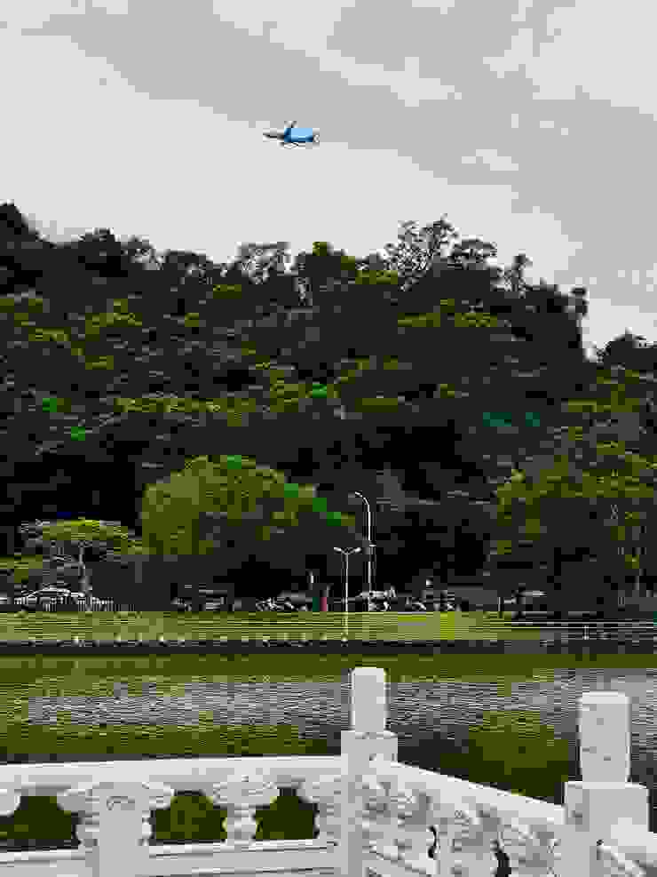 由於離松山機場很近，除了鳥類，還捕捉到飛機從碧湖上空飛過。