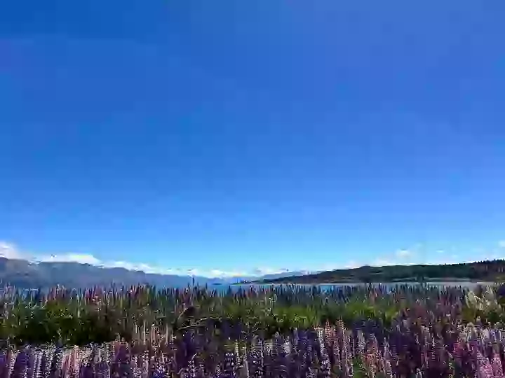 Lake Pukaki Viewpoint_Picnic Spot