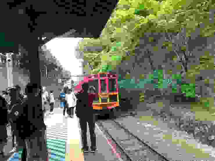 跟小火車說再見囉!希望之後能在櫻花季或賞楓季見到你