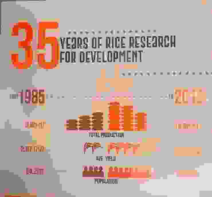 菲律賓水稻產量發展