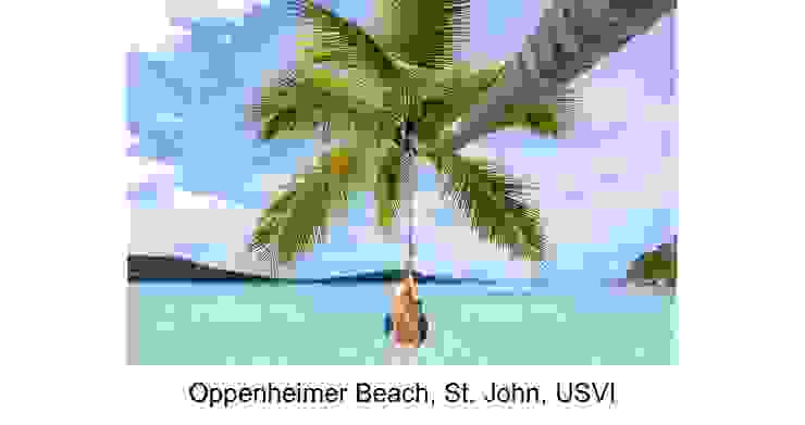 【附圖：Oppenheimer Beach, St. John, USVI / 圖文採編自 Unsplash】