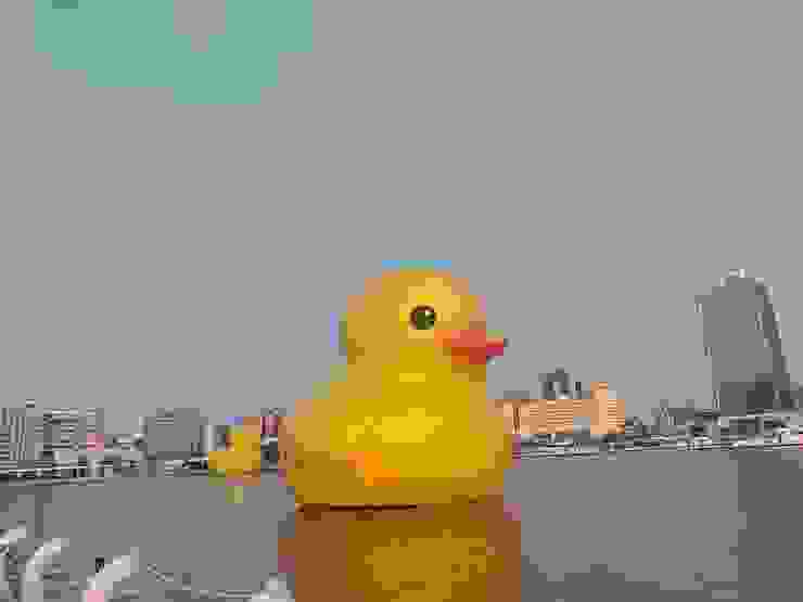 可愛的黃色小鴨