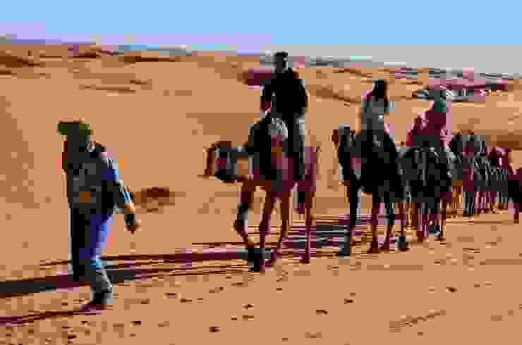 開始騎駱駝