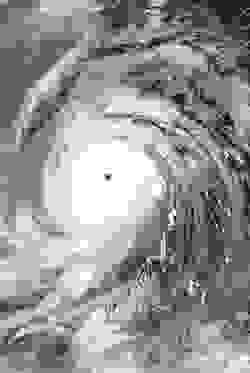 莫蘭蒂颱風最強時的衛星圖像