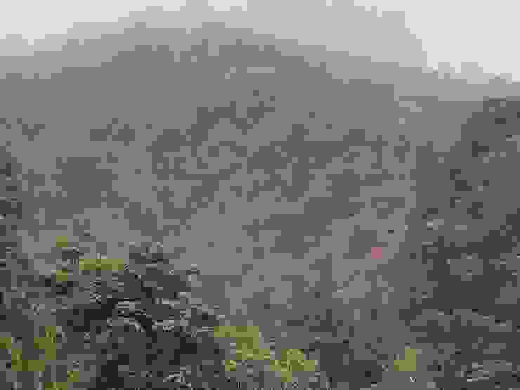 沿路山上山櫻花的紅襯著綠色的山