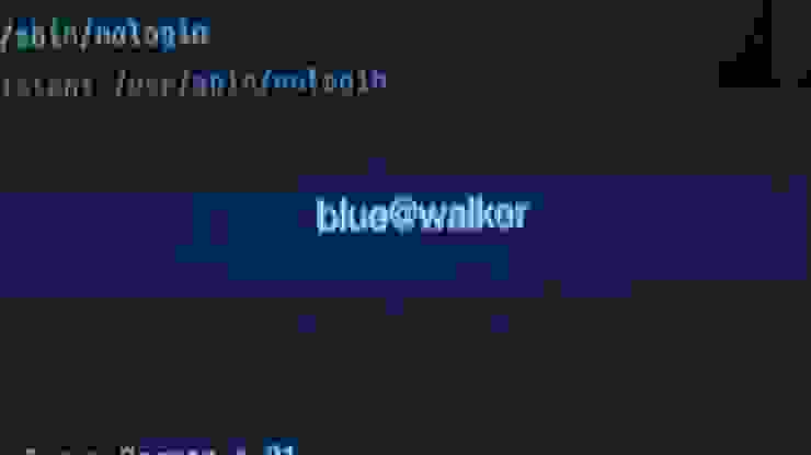 傳說中的駭客大神Blue Walker！