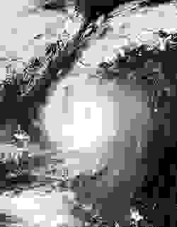 小犬颱風最強時的衛星圖像
