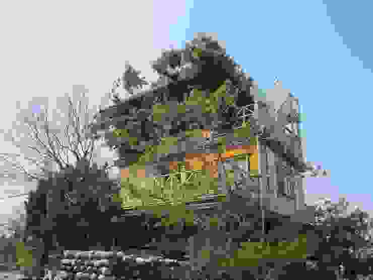 小有名氣的泰安檜木樹屋
