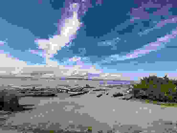 天空依舊藍得發紫，繾綣的白雲輕柔如飛絮，諾大荒蕪的沙灘上散落著漂流木，一切都顯得清寂。（圖 by Vina)