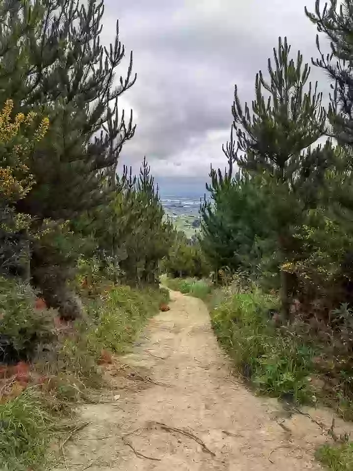 Adventure Park－Uphill walk
