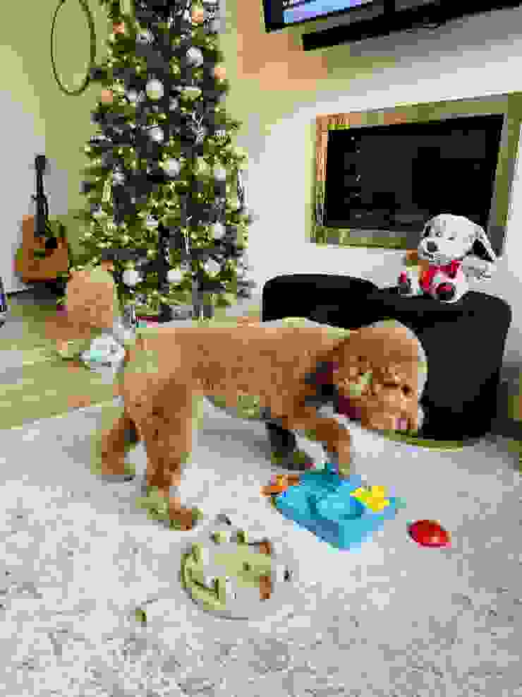 狗狗的聖誕禮物：拼圖