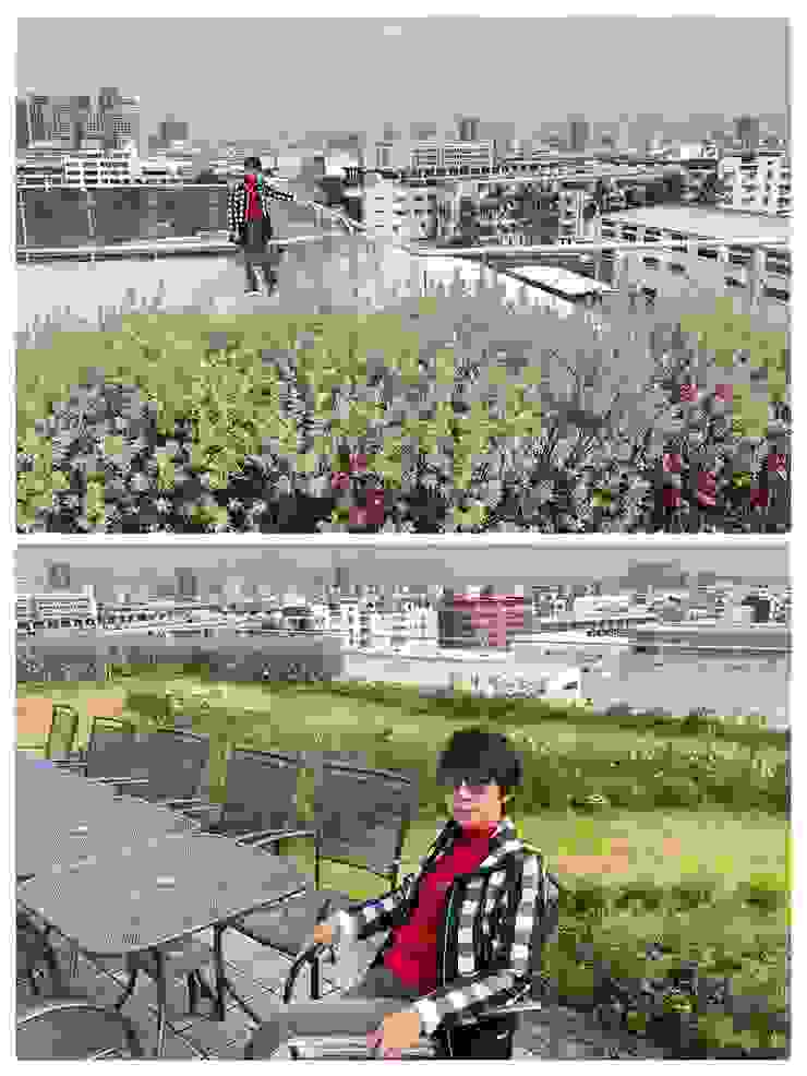 五樓獲臺南市節能降溫改造補助， 綠化美化成為空中花園。