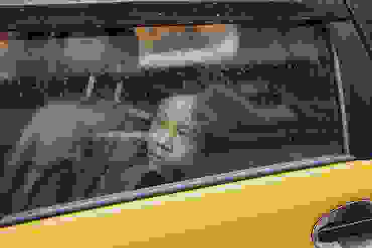 《小曉》電影劇照/金馬影展