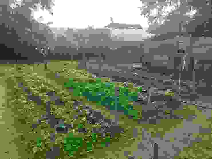 長青村內提供老人種菜的菜園