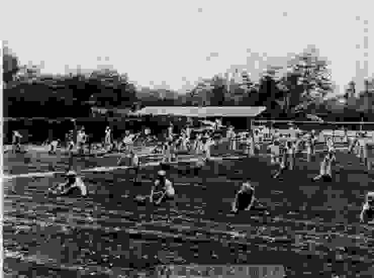 圖中的小孩為東園公學校的學童，正在進行農業教育的實作。1936年出版（圖源：台灣舊照片資料庫）