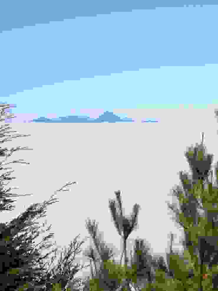 遠眺浮在雲海上的新康山。（Photo by. HASSELBLAD X2D + XCD 55/2,5V）（這張一樣作弊，一億畫素裁切太變態啦～）