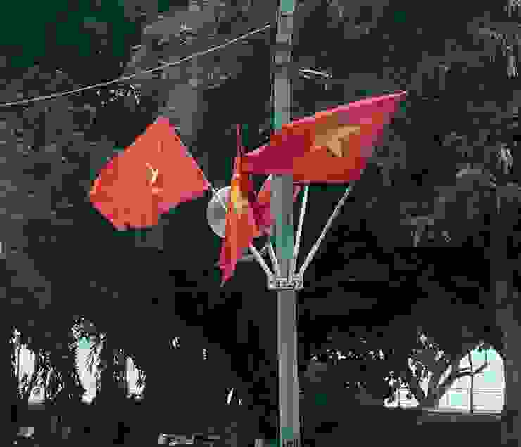 越南的國旗與黨旗