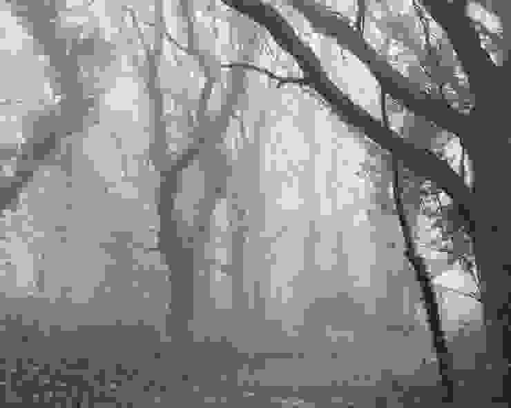 很多路段都是起霧狀態，有種來到迷霧森林之感！而我只是在森林裡遊走的一隻動物。