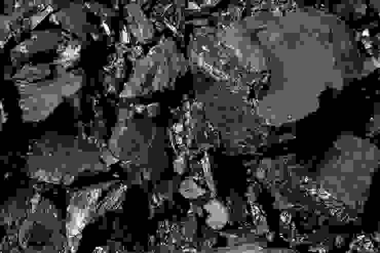 （圖三）煤炭是一類化學化石（感謝Dane Rhys提供）