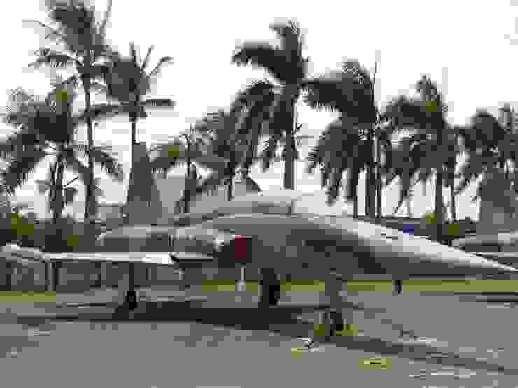 中華民國空軍的F-5A除役展示機，翼端副油箱可見蜂腰設計
