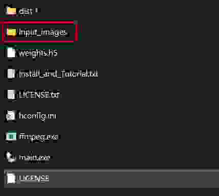 input_images