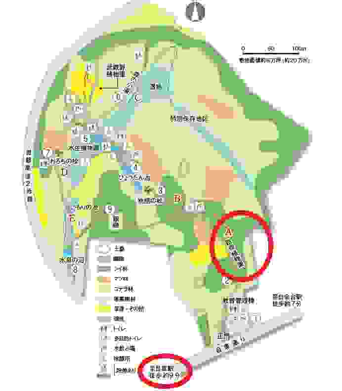 國立科學博物館附屬自然教育園旁是台北駐日經濟文化處代表 圖片來自網路