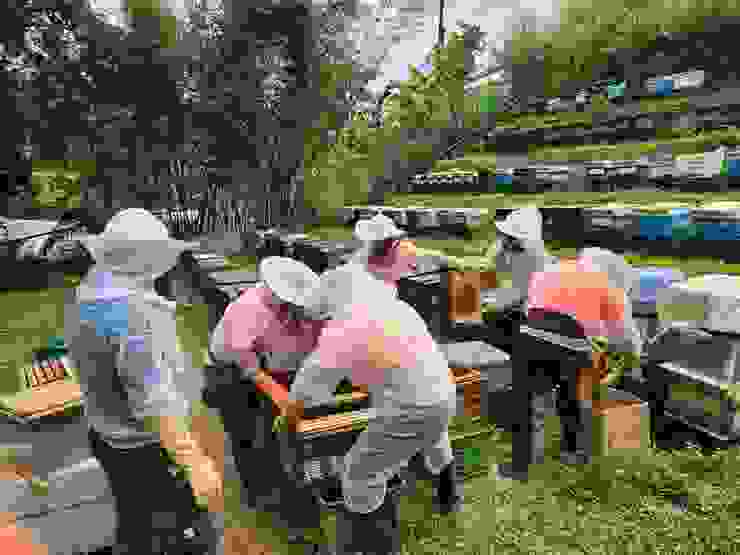 紫東社區可體驗採蜜還能品嘗新鮮蜂蜜。