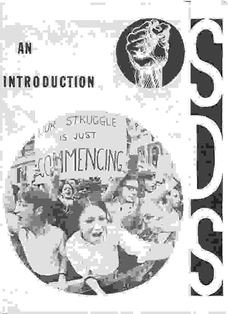 1960年代偶然採行水平化組織的學運團體SDS