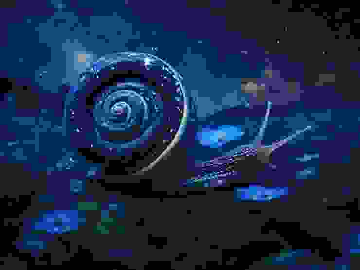 這是 Leonardo. AI 畫的蝸牛
